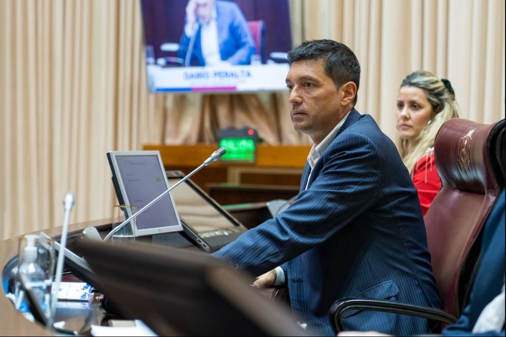 diputados legislatura