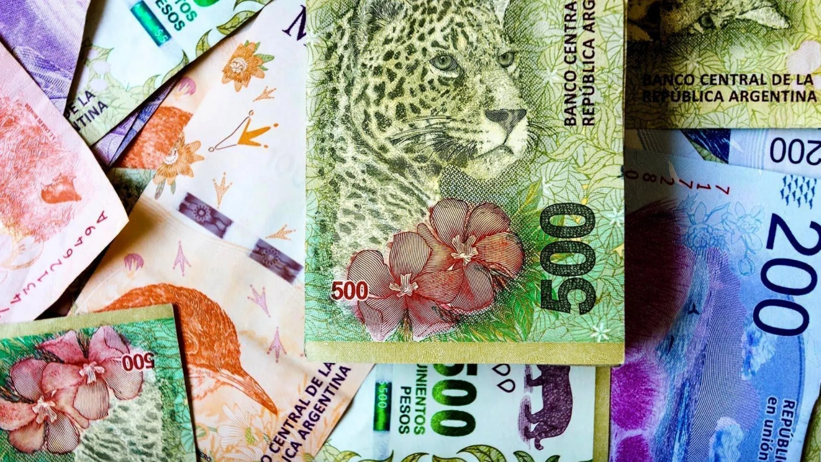 billetes_argentinos_1