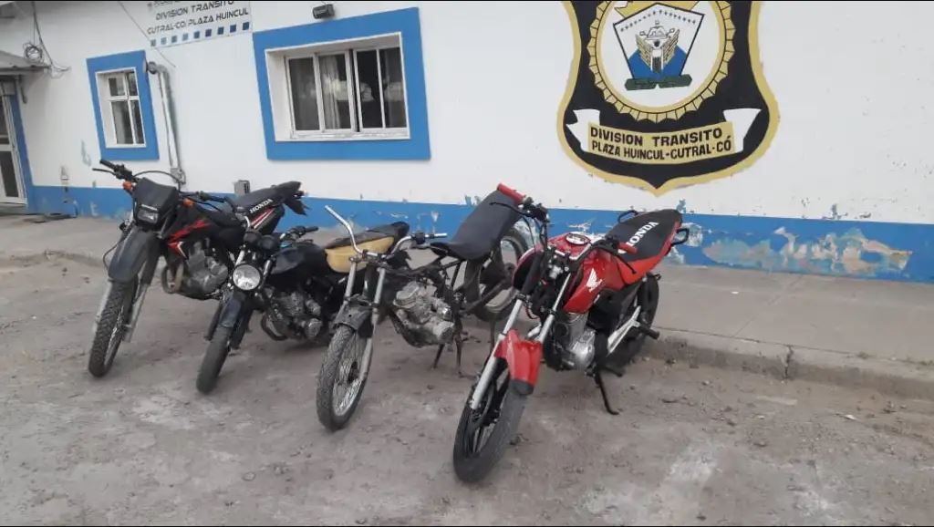 vaca ruta 22 infolosandes