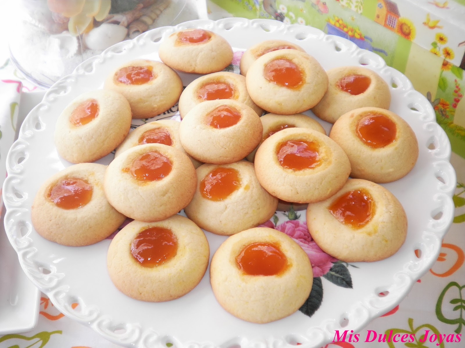 galletas fina5