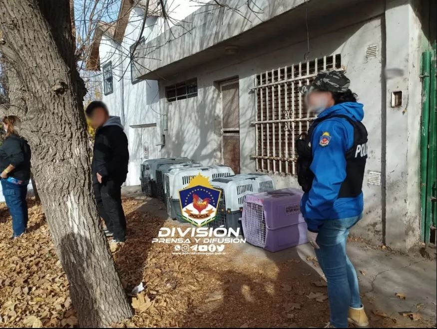 maltrato policia nqn