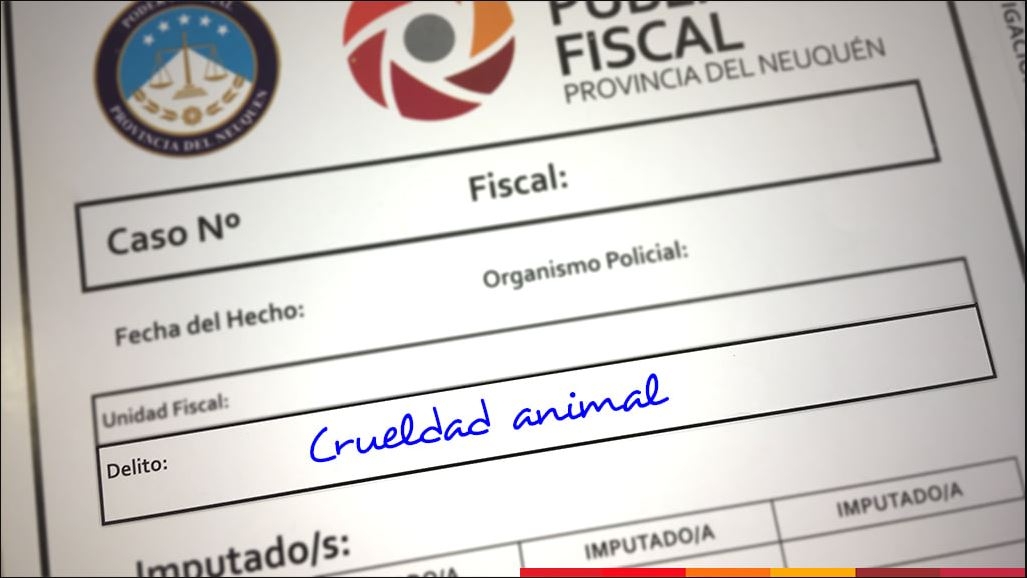 maltrato mpf