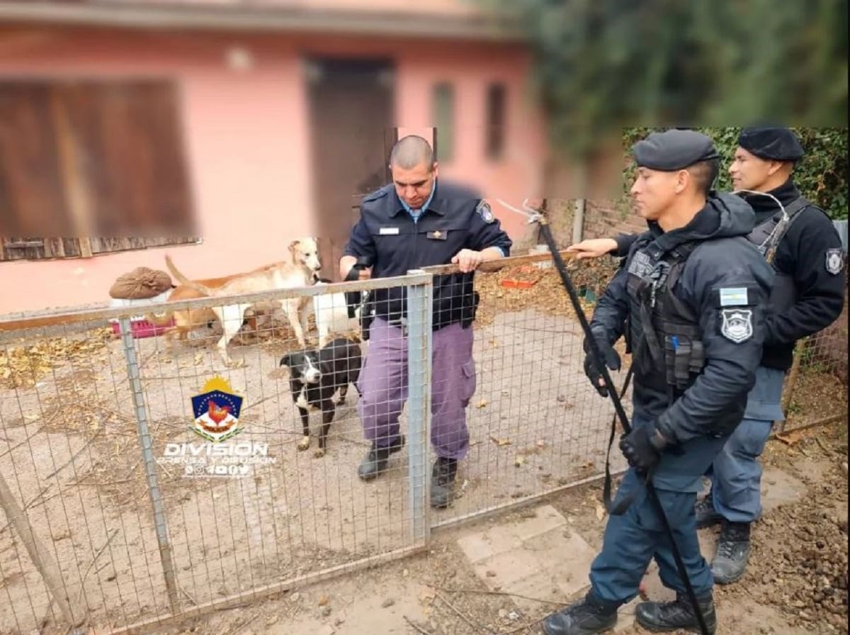 maltrato policia nqn2
