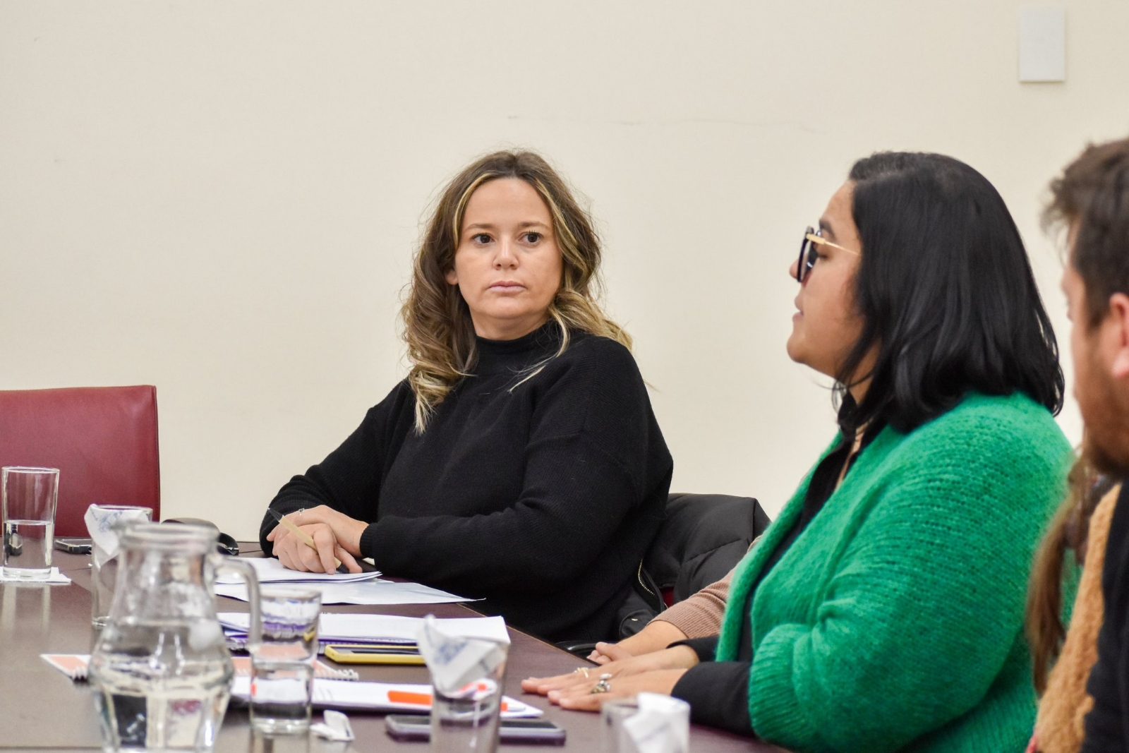 ministra diversidad - twitter 4