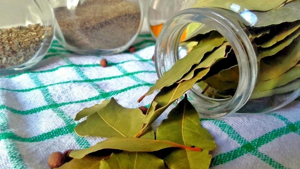 como-ritual-azucar-laurel-para-atraer-abundancia-julio-997963-075319