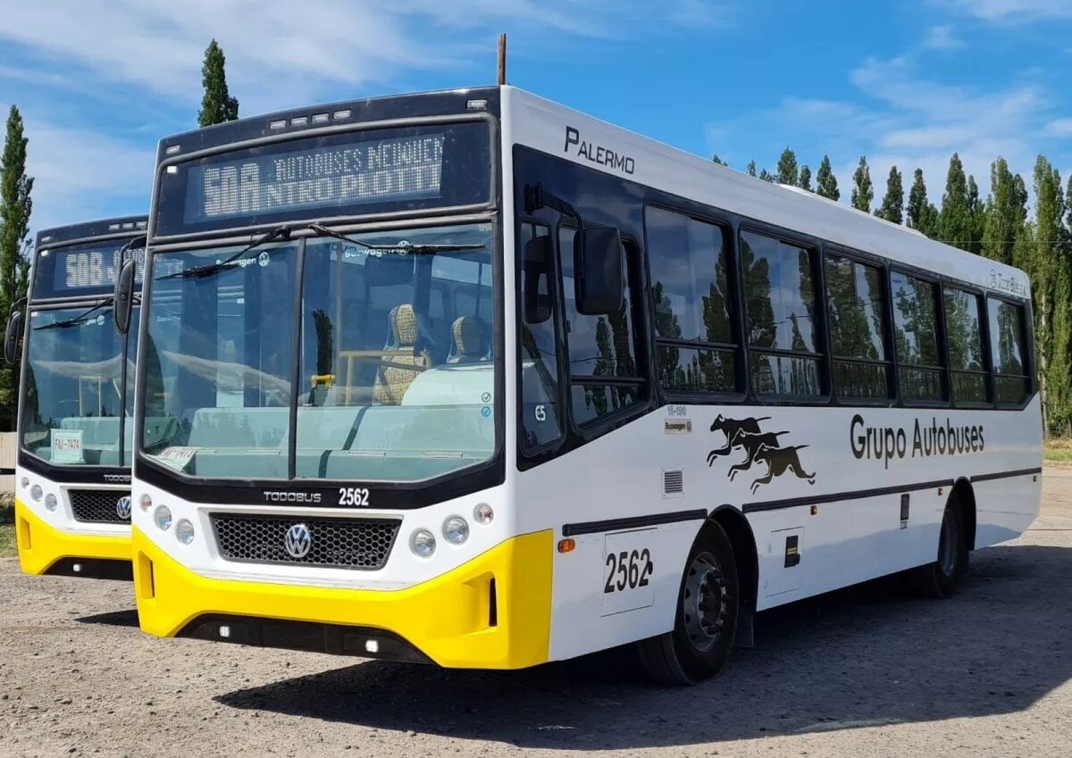 transporte - am550