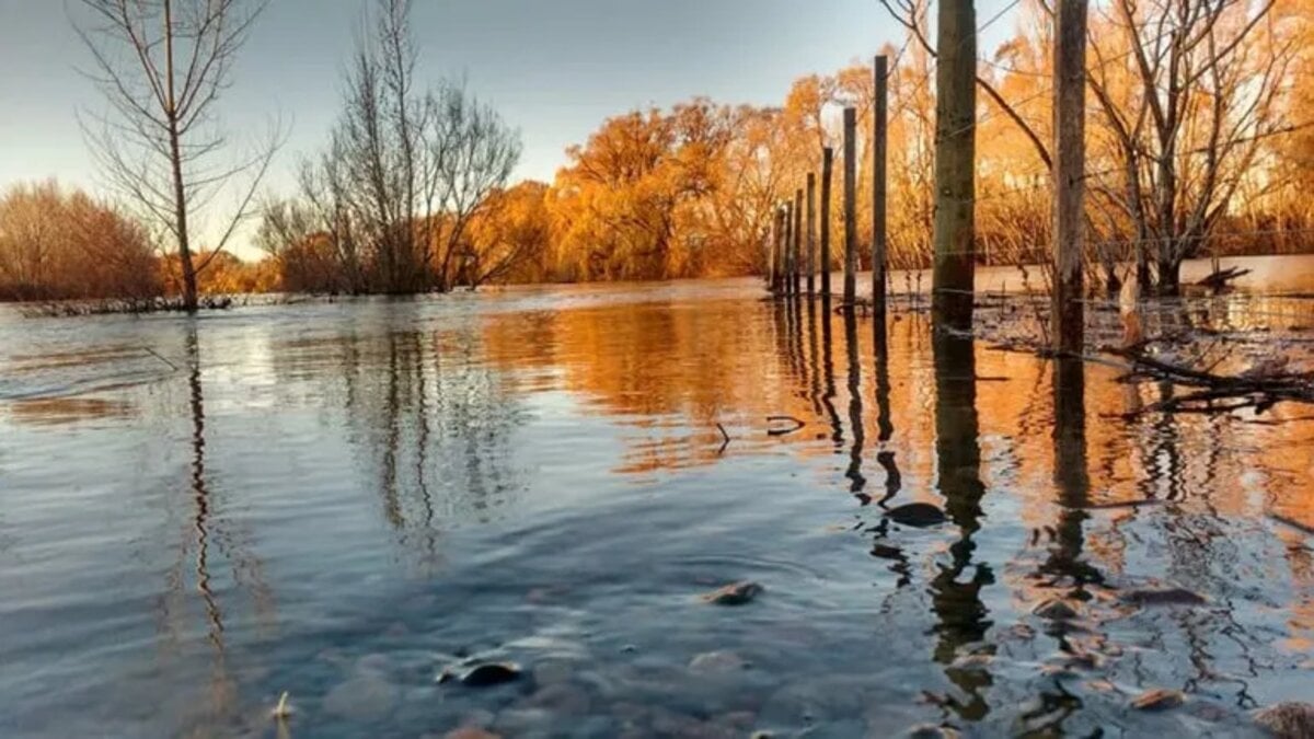vista alegre - lmneuquen 3