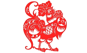 gallo02