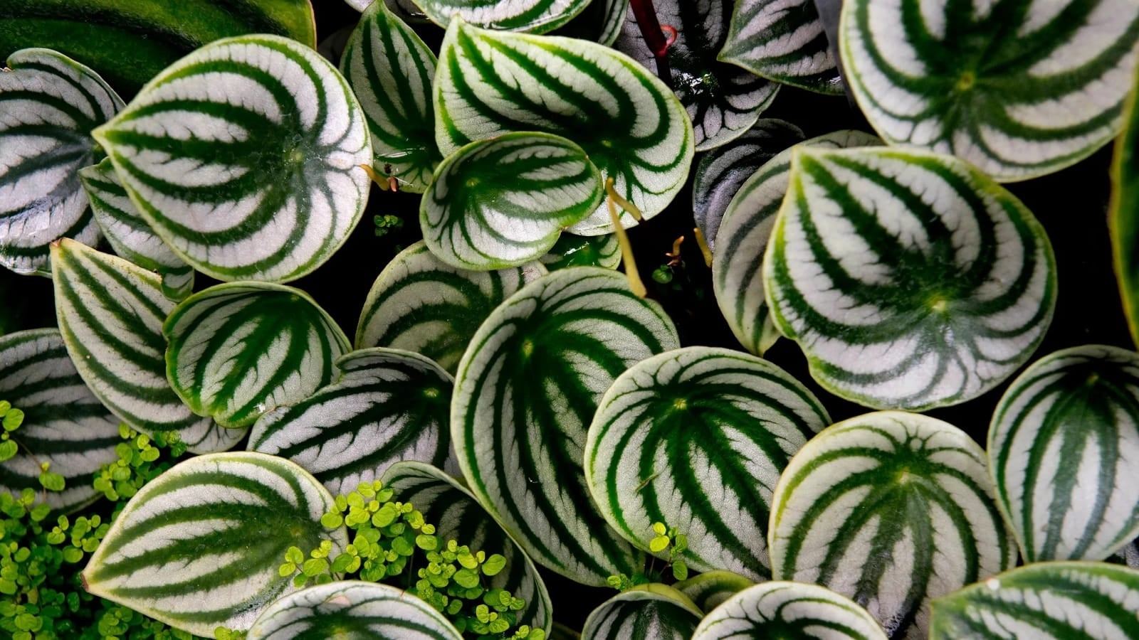 4ec9d039-e503-4078-ac92-3c59d81128af