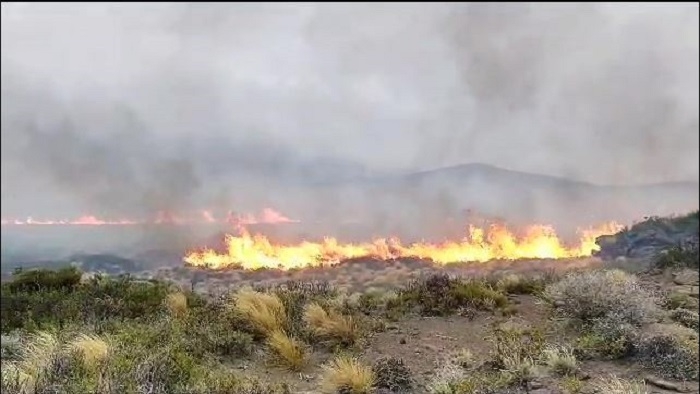 incendio tu noticia