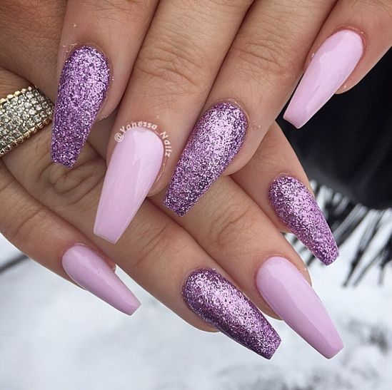 rosa purp