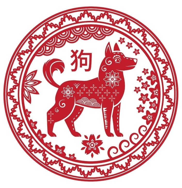 perro