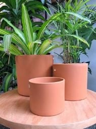 macetas terracota