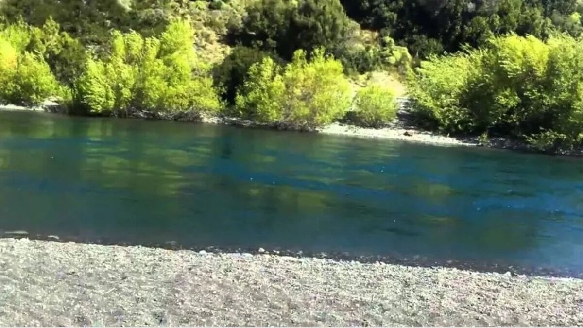 potabilidad del agua - minuto neuquen 4