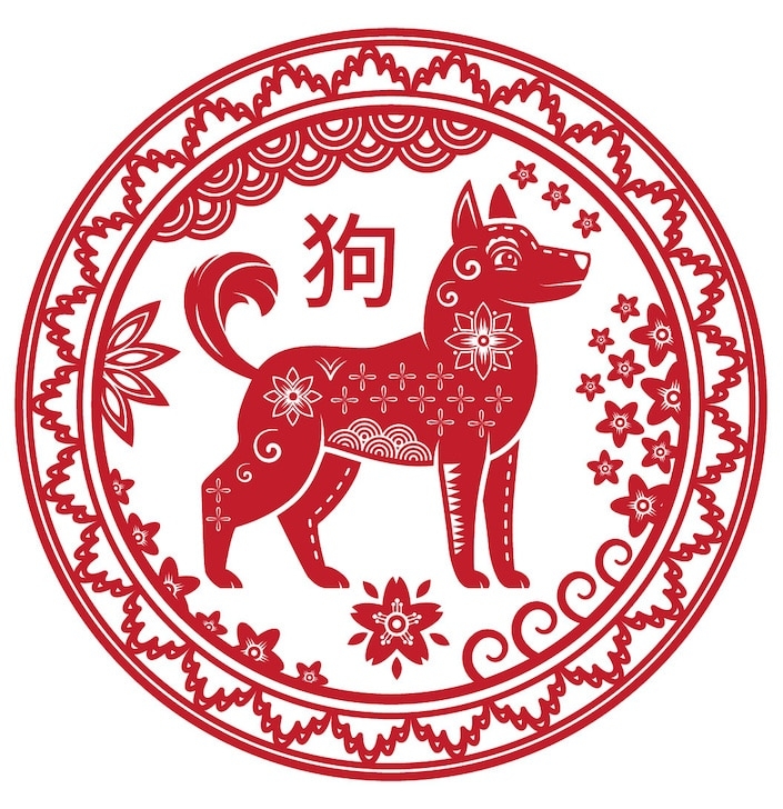 perro