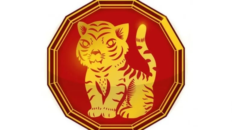 tigre4