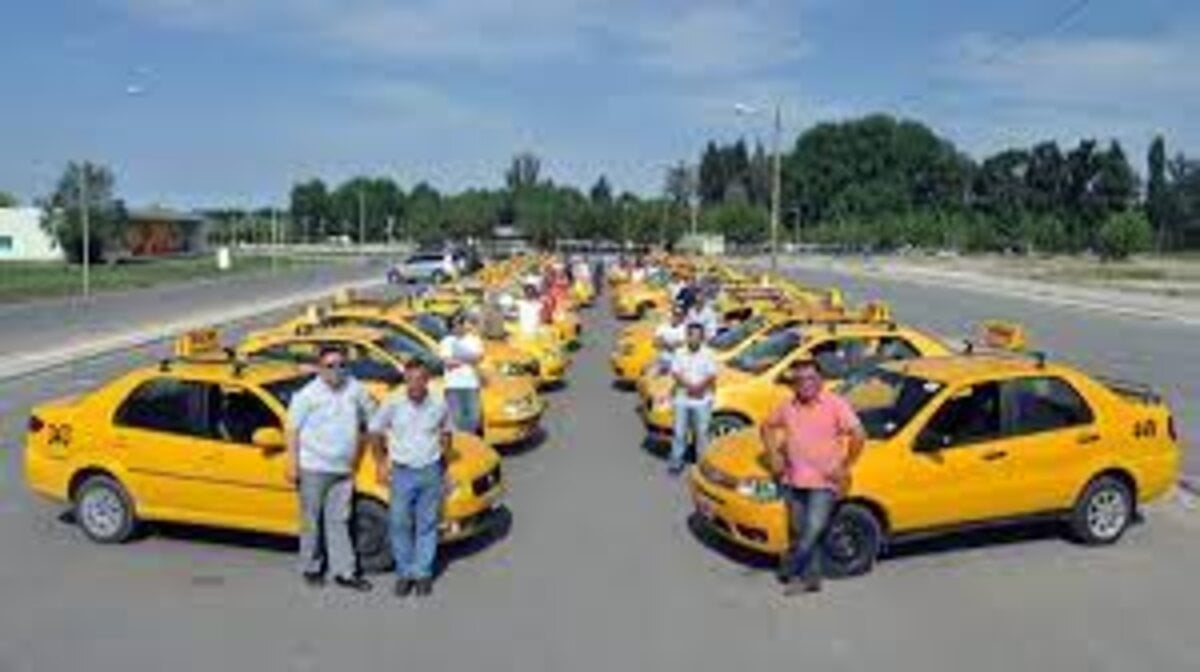 taxis - lmneuquén 2