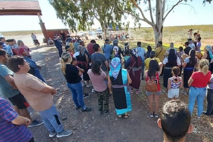 mapuches 8
