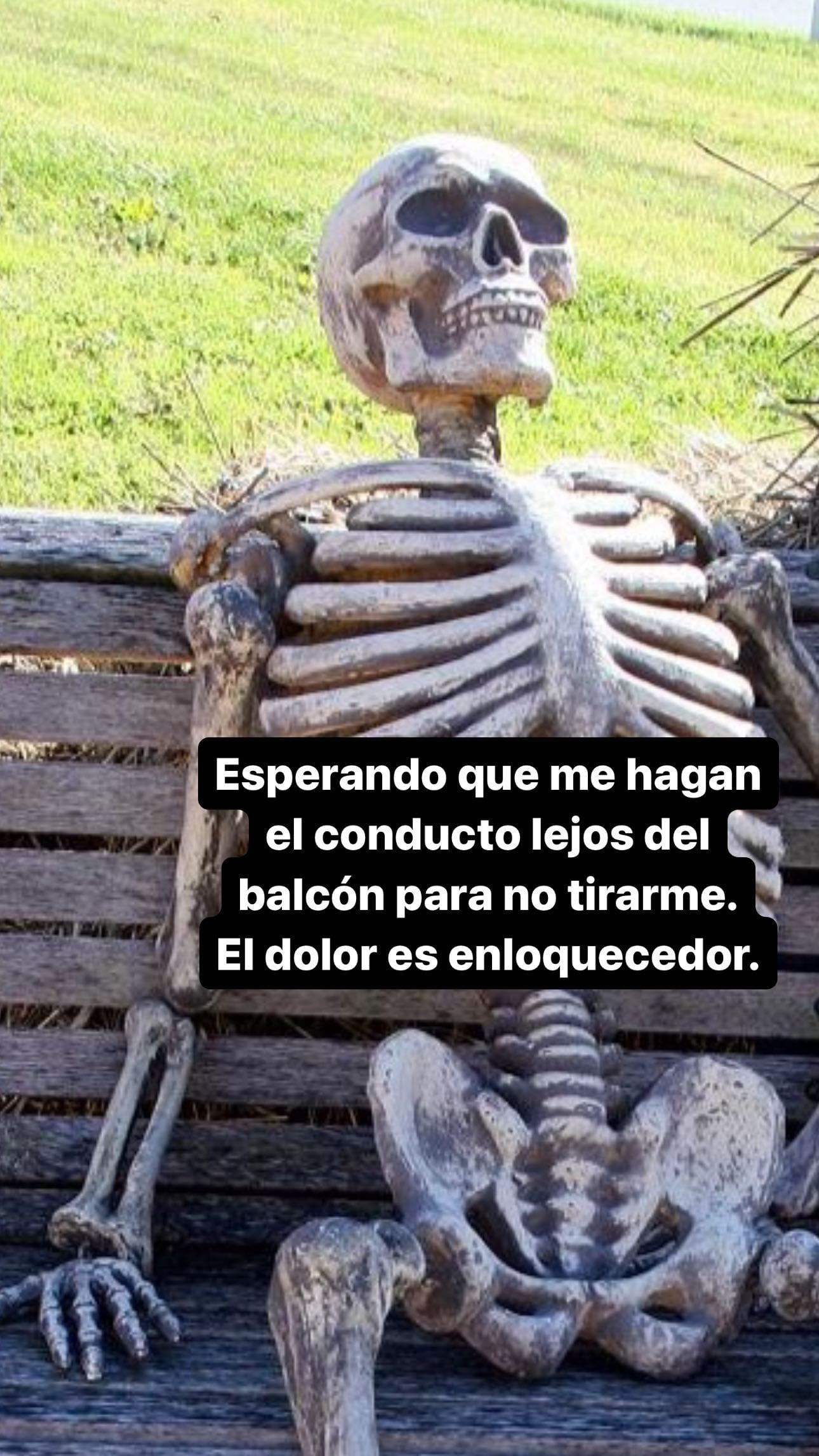 383063987_1033142267897028_4948749905627912101_n