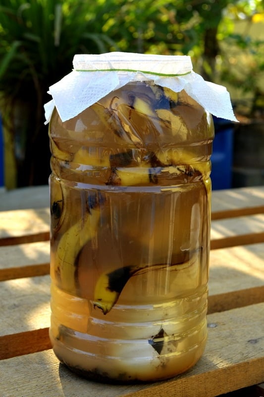 casacara-banana-1