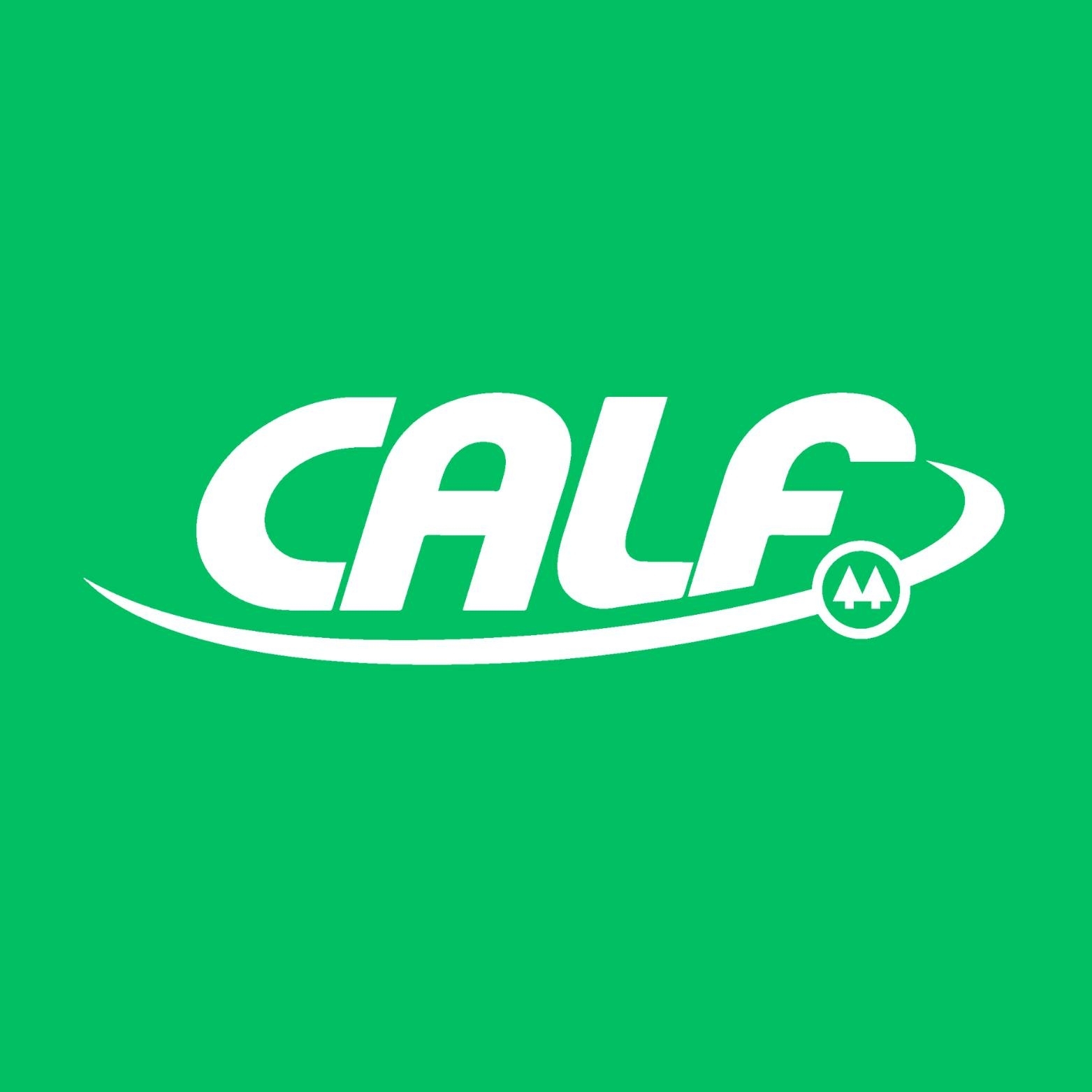 calf - facebook 2