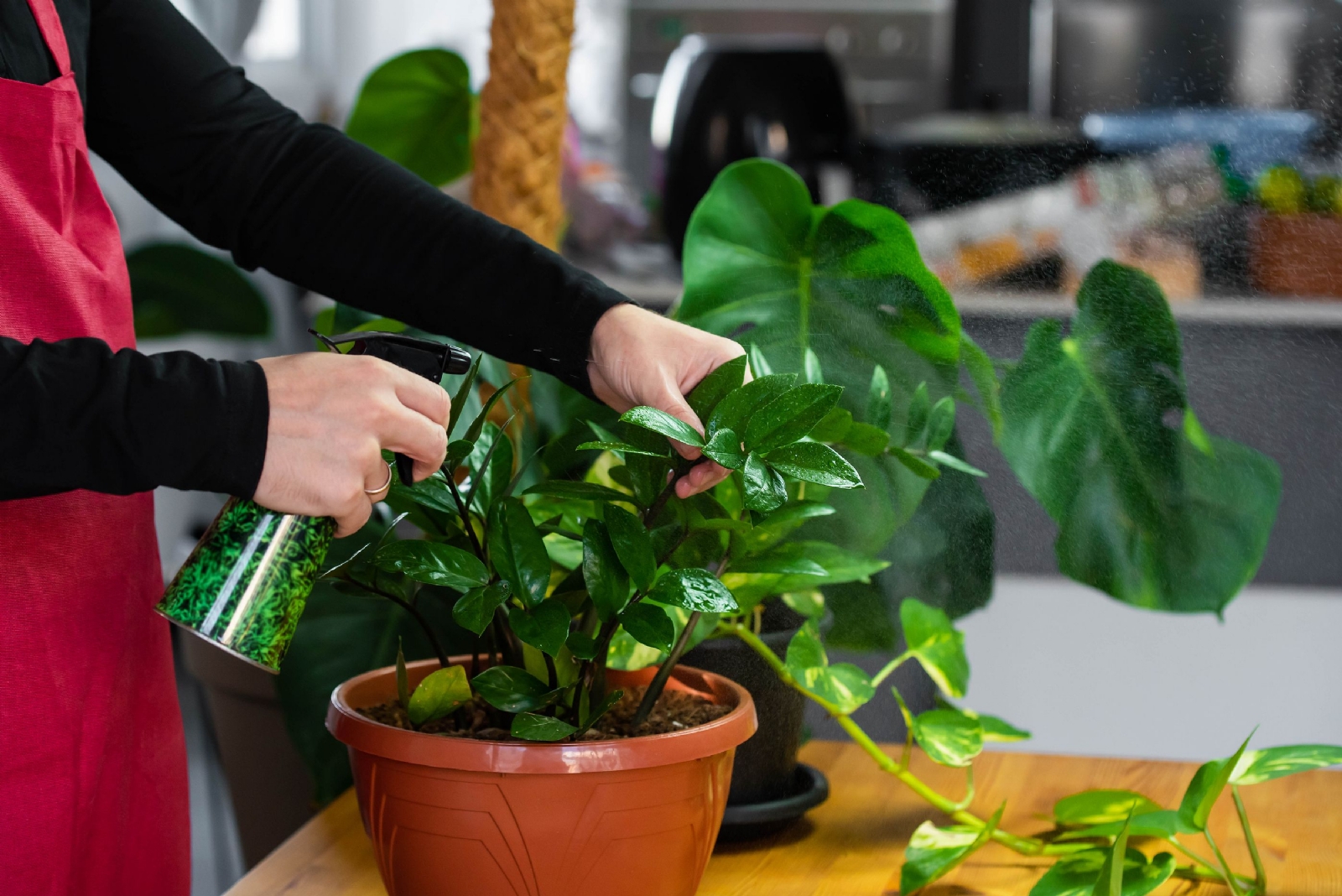 trucos-limpiar-plantas-artificiales
