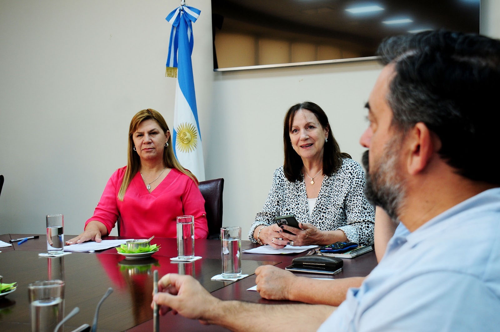 emergencia sani - legislatura 3