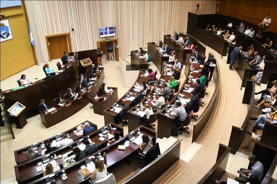 emergencia sanitaria legislatura