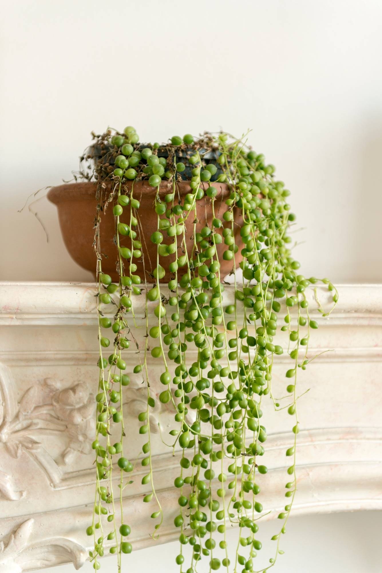 string-of-pearls-manomano_6354d2c5_1335x2000
