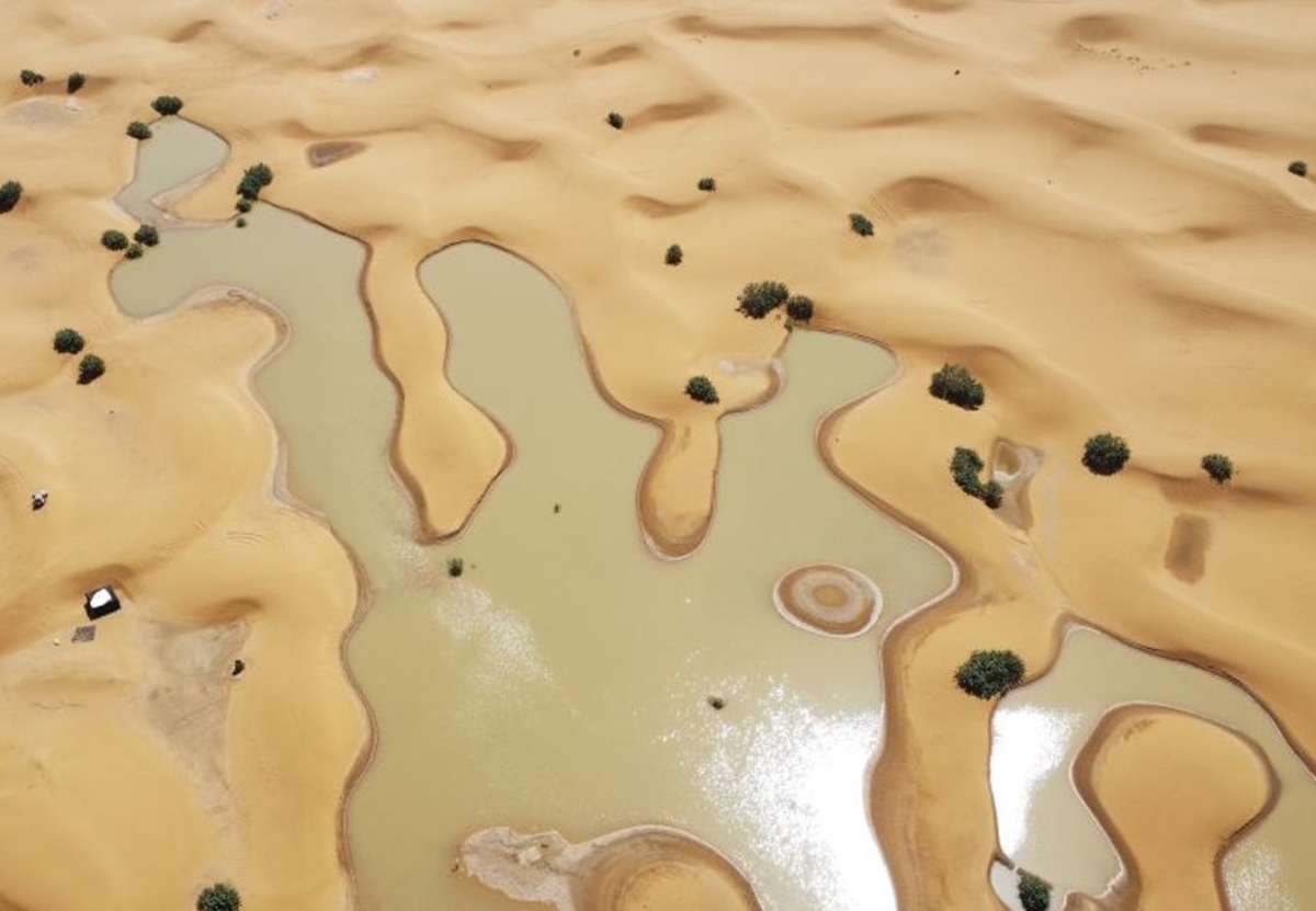 sahara