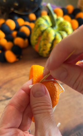 cáscaras de naranja4