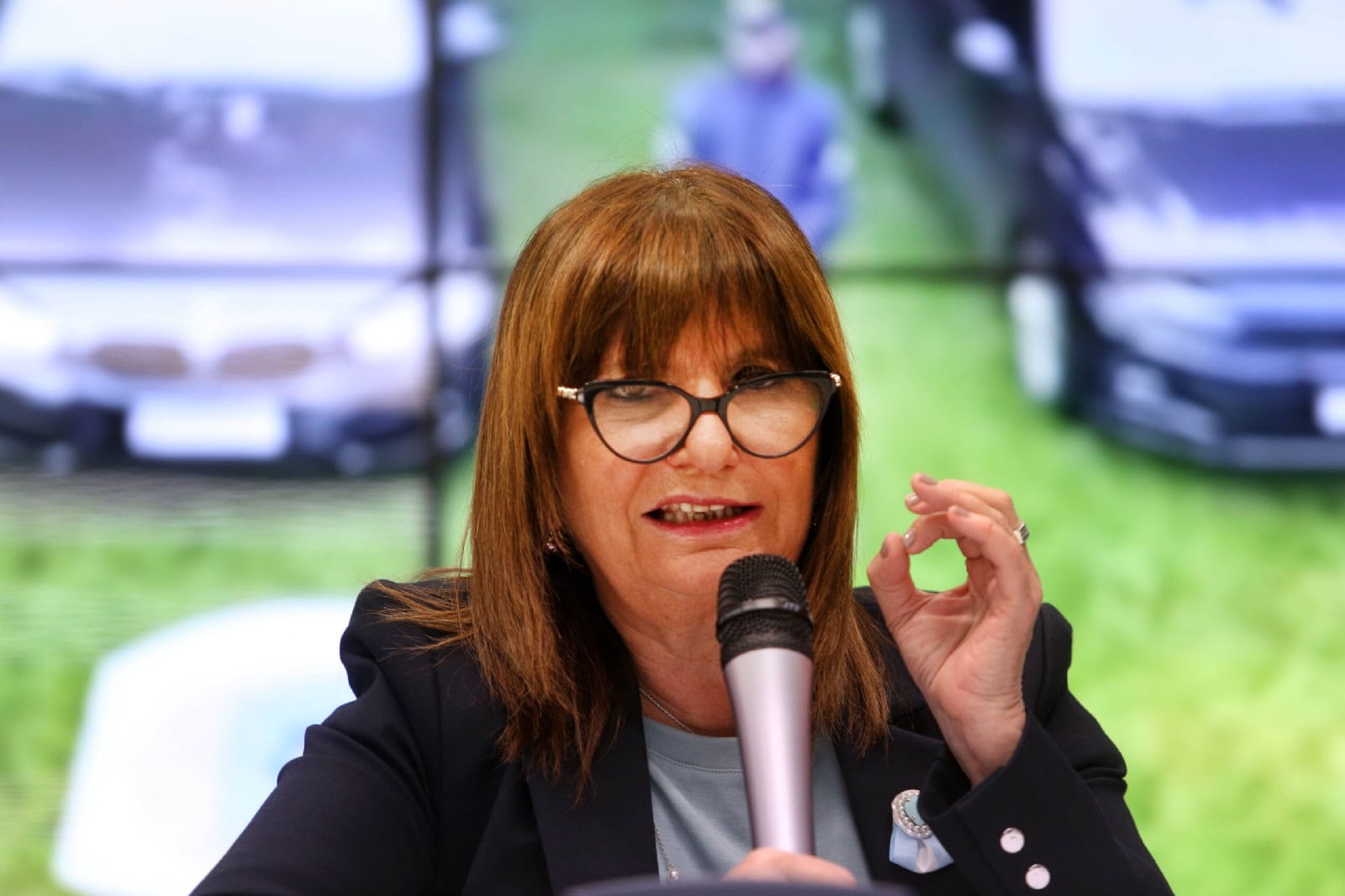 bullrich1-scaled