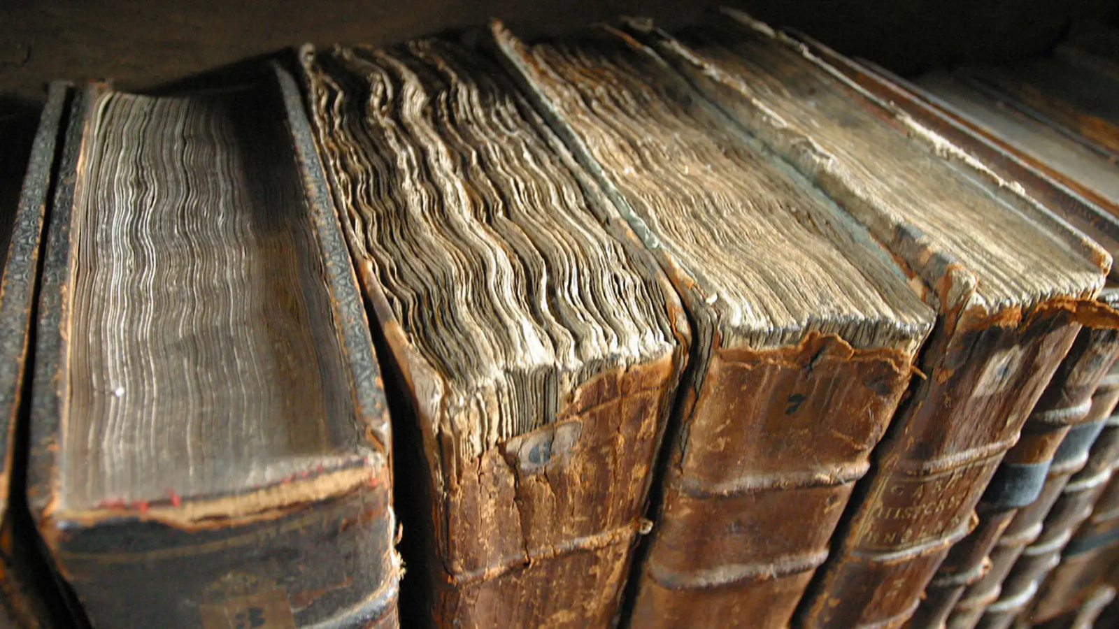 libros