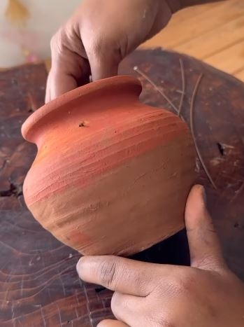 maceta544