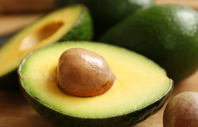 palta51