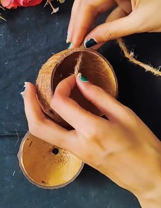 Cáscaras de coco3