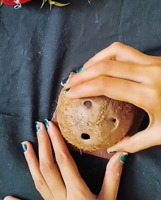 Cáscaras de coco2