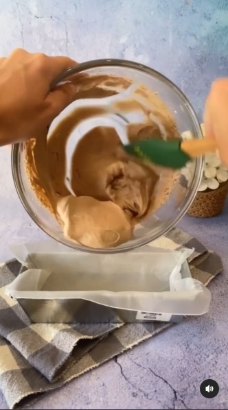 Helados bicolor 3
