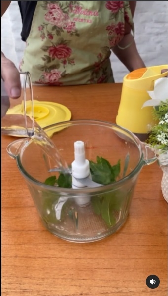 Helado de menta 2