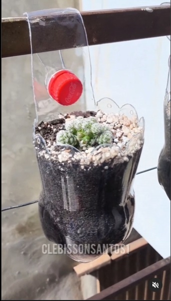 Botellas de plástico 2