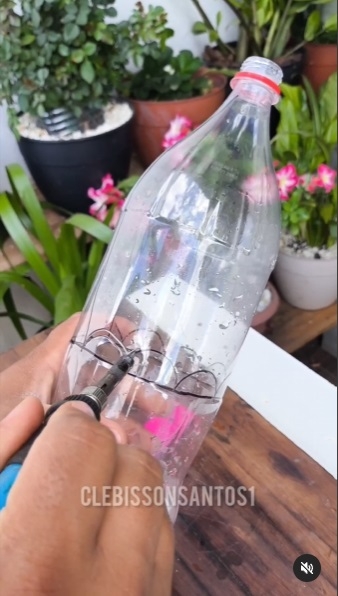 Botellas de plástico 4