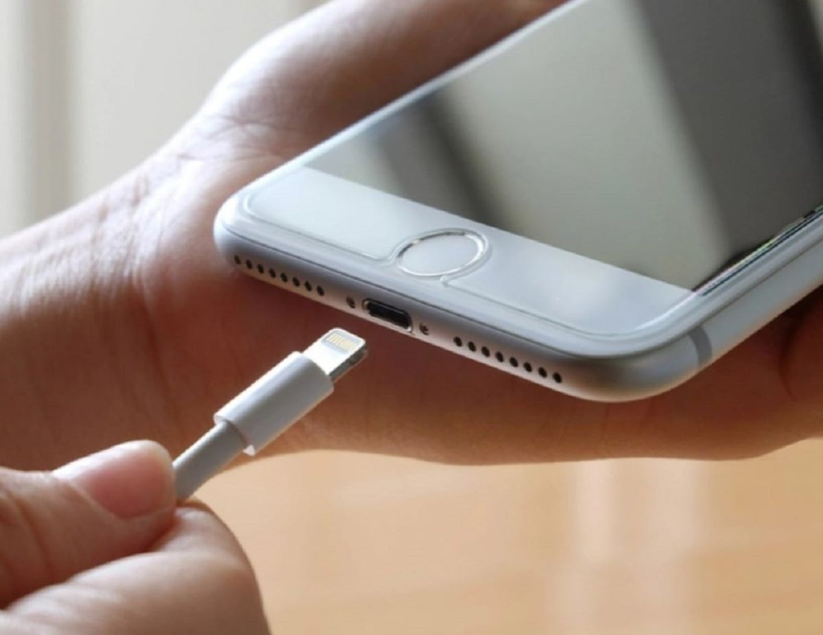 Cable del cargador