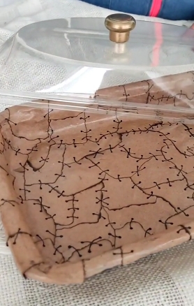 bandeja plástica1