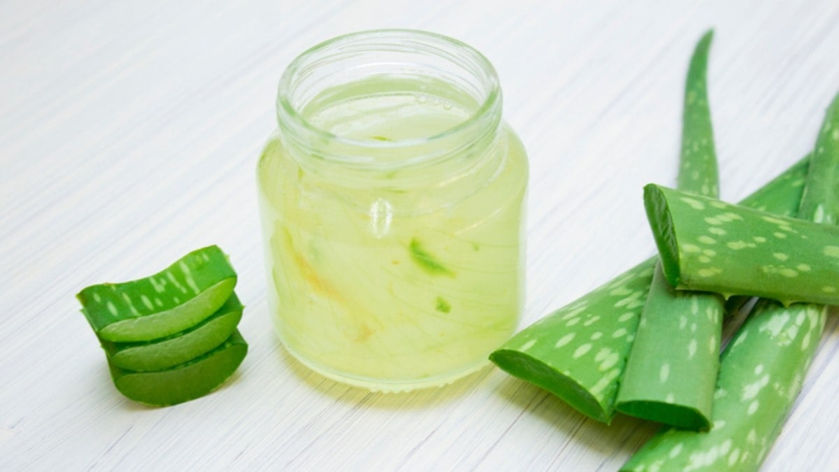 Receta-de-champú-natural-casero-de-aloe-vera