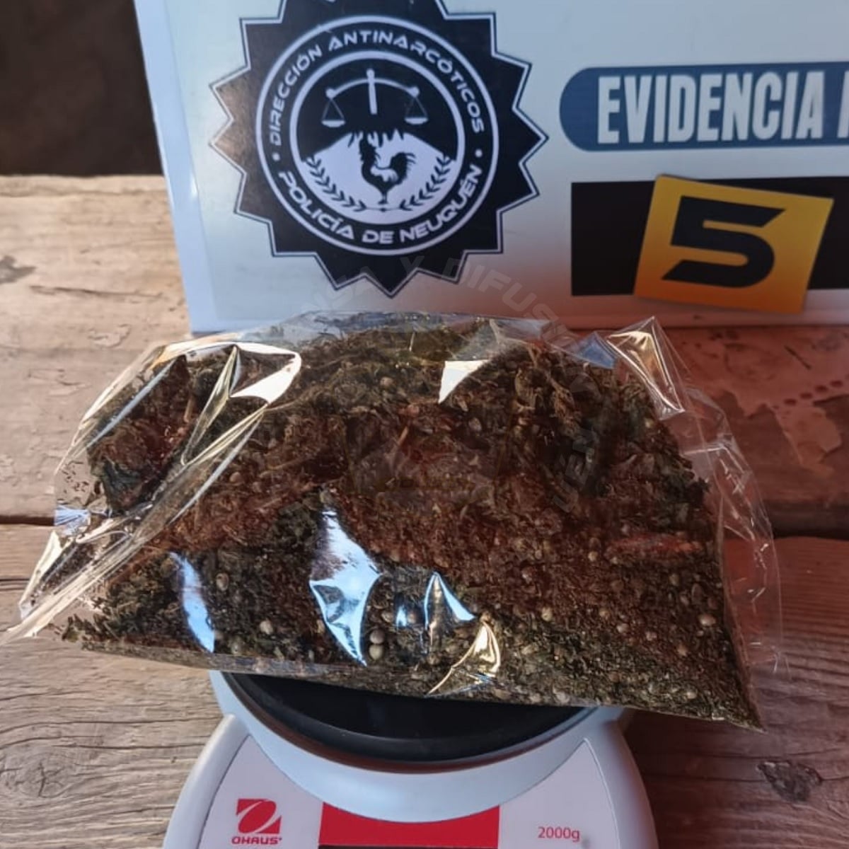cogollos en mariano moreno