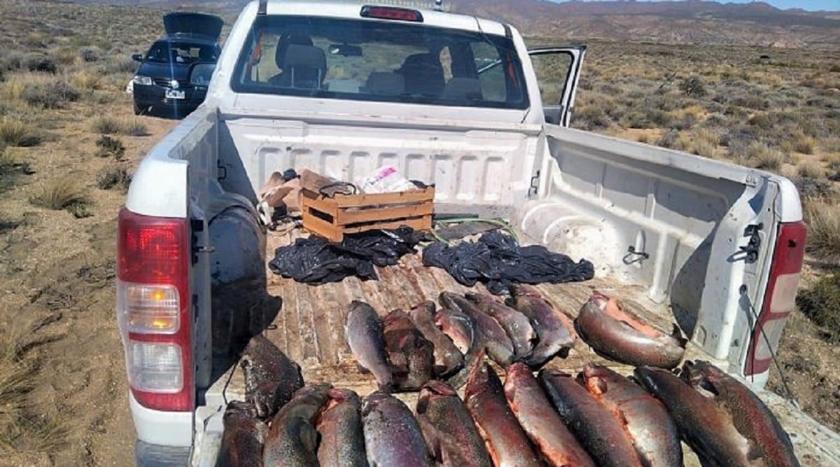 truchas en camioneta