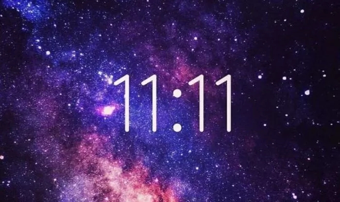 11-11portal