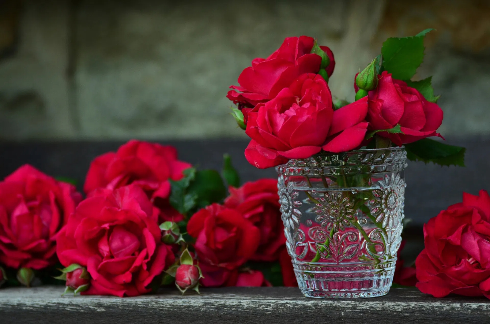 Rosas. Fuente (Instagram)