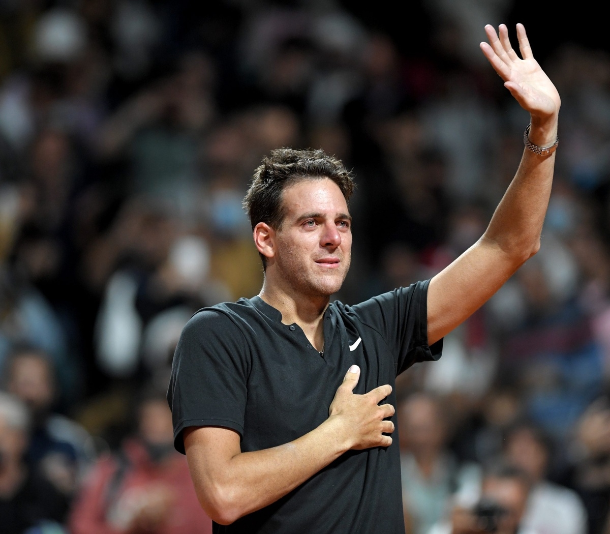 Delpo 1