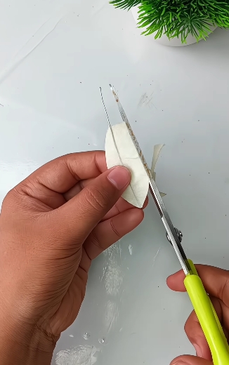 Cinta de papel1